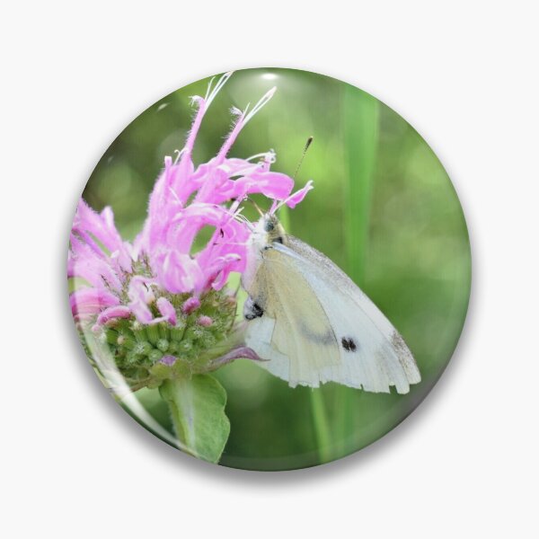 Item preview, Cabbage Butterfly designed and sold by DonnaM.