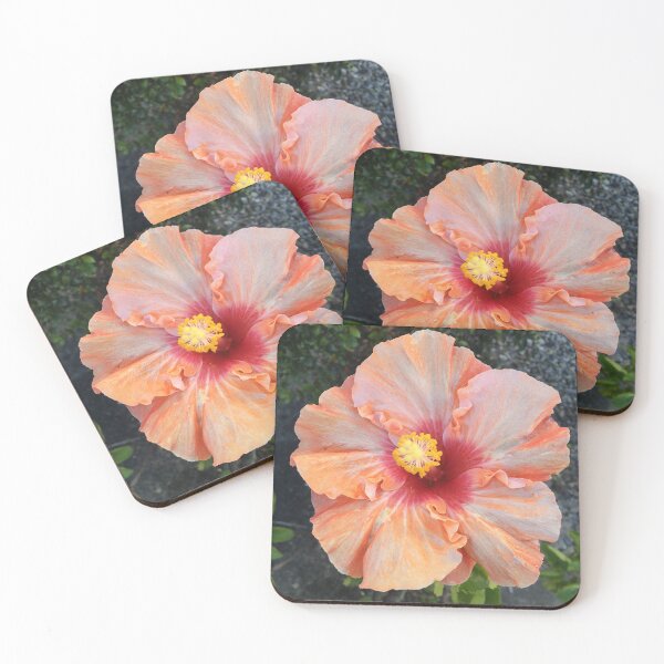 Item preview, Hibisco sonrojado designed and sold by Almost Never.