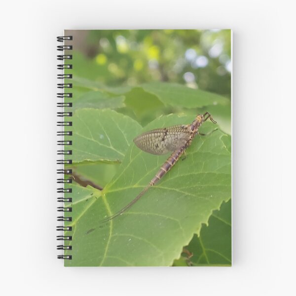 Item preview, MayFly designed and sold by NoPayne22.