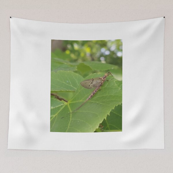 Item preview, MayFly designed and sold by NoPayne22.
