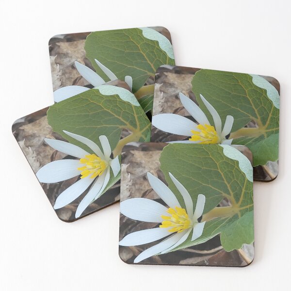 Item preview, Wild flower designed and sold by NoPayne22.