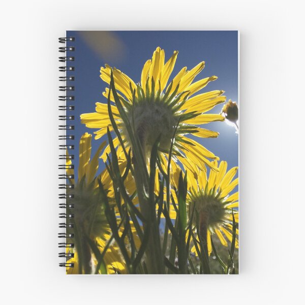 Item preview, Sun-soaked Alpine Sunflowers II designed and sold by cfinntastic.