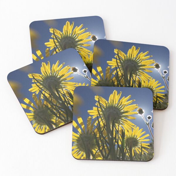 Item preview, Sun-soaked Alpine Sunflowers II designed and sold by cfinntastic.