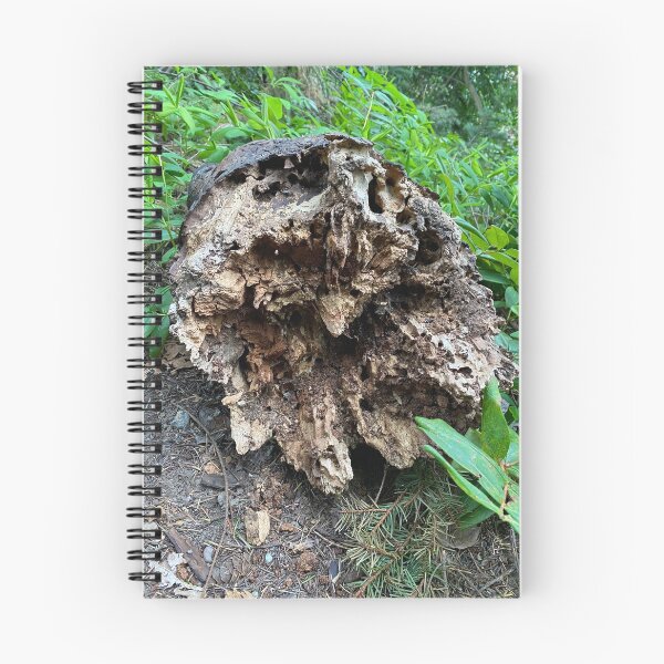 Item preview, Forest Lifecycle designed and sold by HappyPlaceDzn.