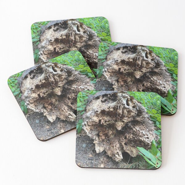 Item preview, Forest Lifecycle designed and sold by HappyPlaceDzn.