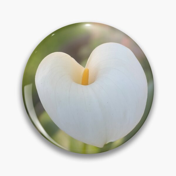 Artikelvorschau, Calla-Lilly entworfen und verkauft von HappyPlaceDzn.