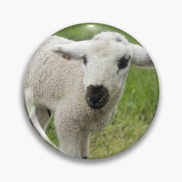 Artikelvorschau, Neugeborenes Lamm entworfen und verkauft von HappyPlaceDzn.