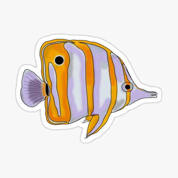 Sticker Falterfisch Redbubble