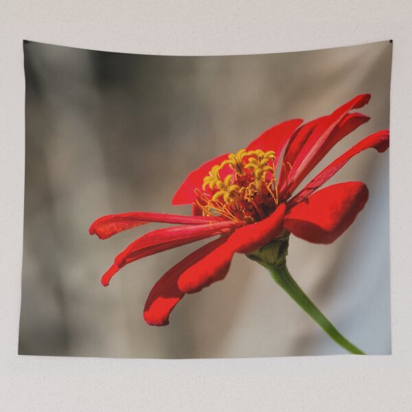 Item preview, Red Zinnia designed and sold by alanathrower.