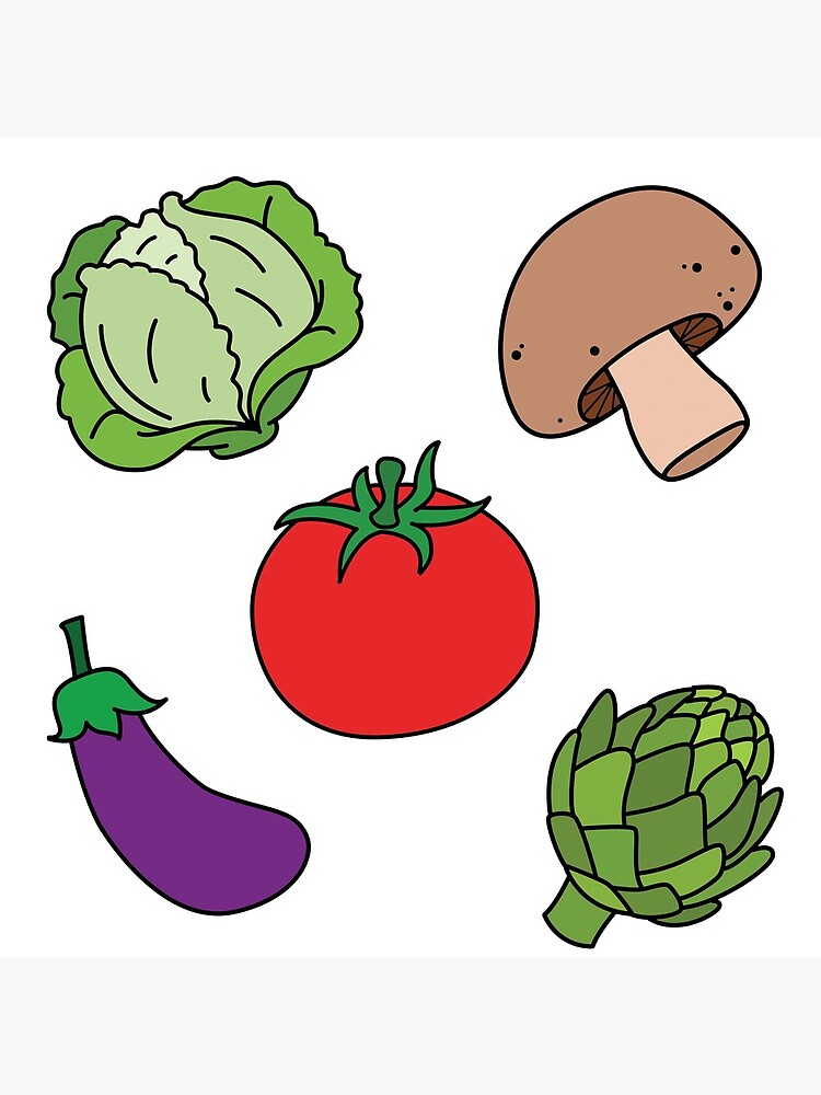 24 Vegetables Hand Drawn Sketch – MasterBundles