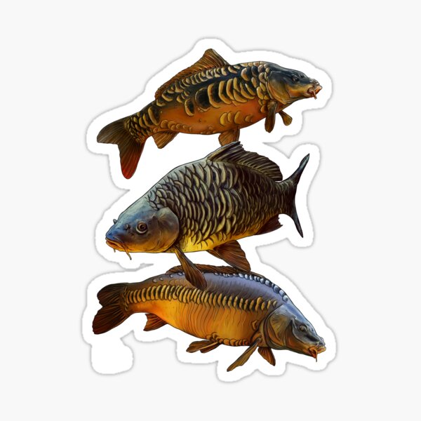 Fish With Carl Stickers