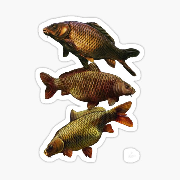 Fish With Carl Stickers