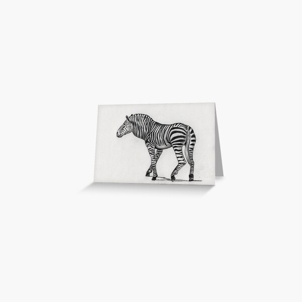 Mountain Zebra (Equus zebra) Greeting Card