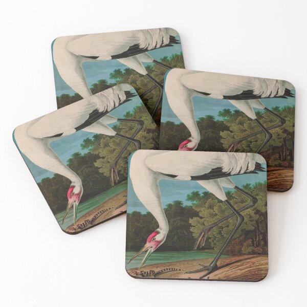 Item preview, Birds of America Audubon Hooping Crane Illustration Bird Lovers Gift designed and sold by VintageArchive.