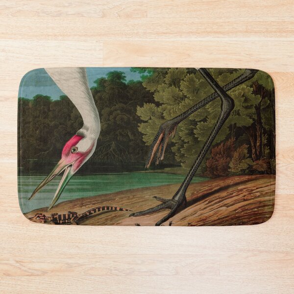 Item preview, Birds of America Audubon Hooping Crane Illustration Bird Lovers Gift designed and sold by VintageArchive.