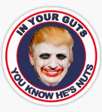 In Your Guts You Know He's Nuts Sticker
