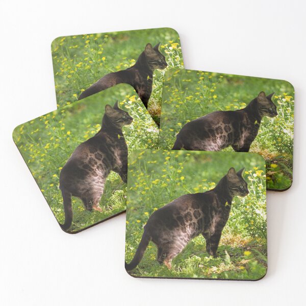 Item preview, Chestatee 36 designed and sold by rebeccaholbrook.