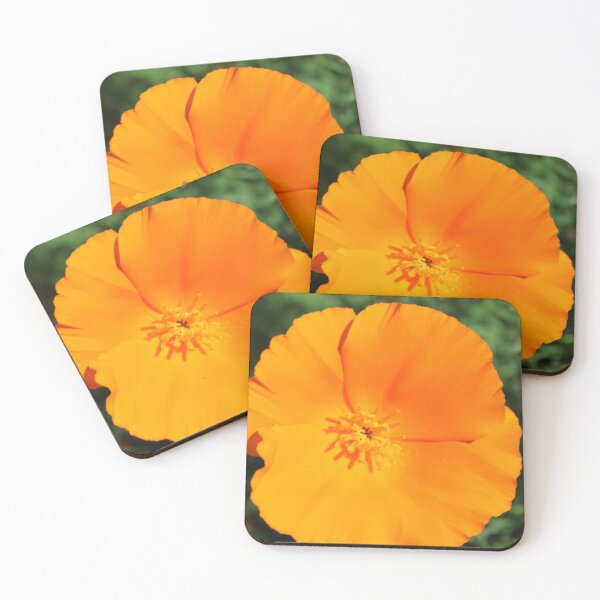 Item preview, Orange Sunshine Please designed and sold by JessyPeck.