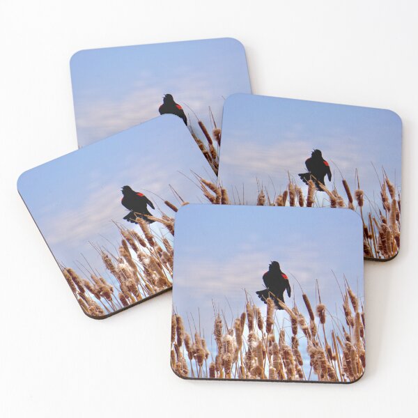 Item preview, Red-winged Blackbird Perched Atop Cattails designed and sold by cfinntastic.