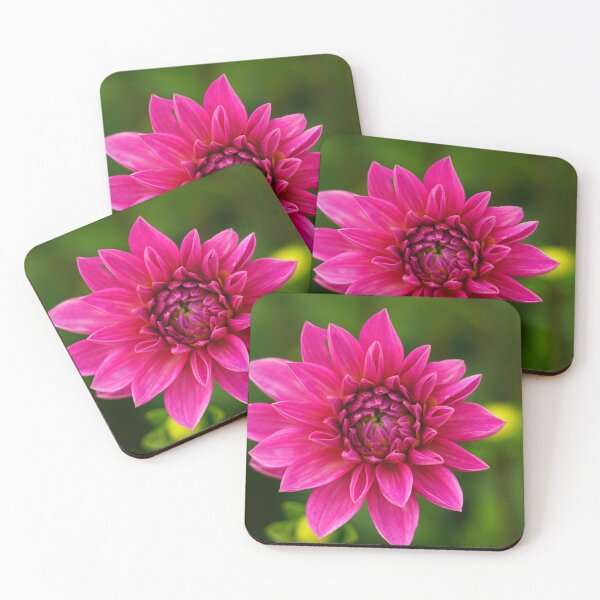 Item preview, Fuchsia Dahlia Unfurling designed and sold by cfinntastic.