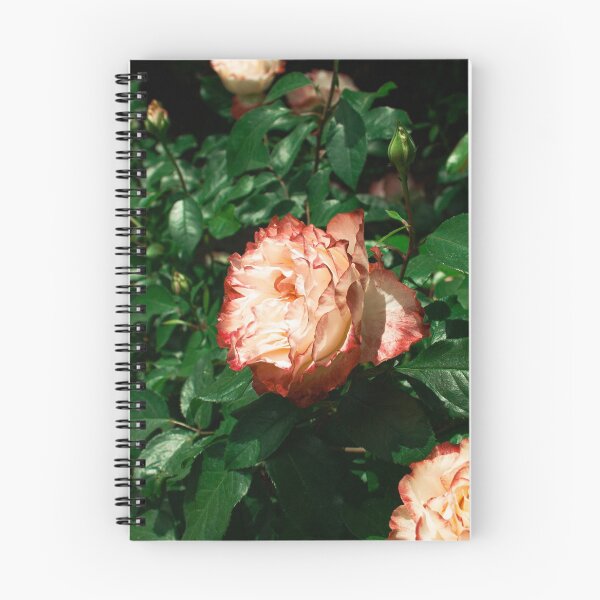 Item preview, Blood-tipped roses designed and sold by rosegoldbugger.