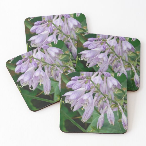Item preview, Always Blooming designed and sold by Izayo-Darke1.