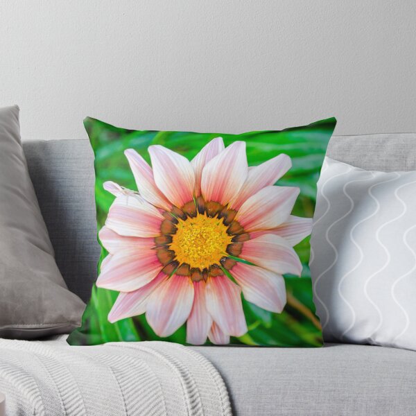 Item preview, African Daisy or Treasure Flower designed and sold by ieronymos.