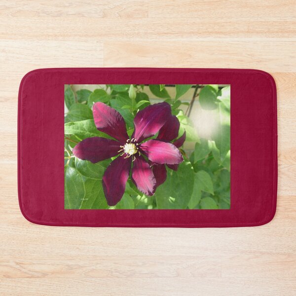 Item preview, Burgundy Clemetis designed and sold by LeRoyM.