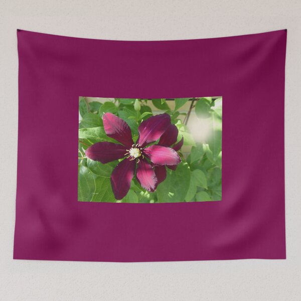 Item preview, Burgundy Clemetis designed and sold by LeRoyM.