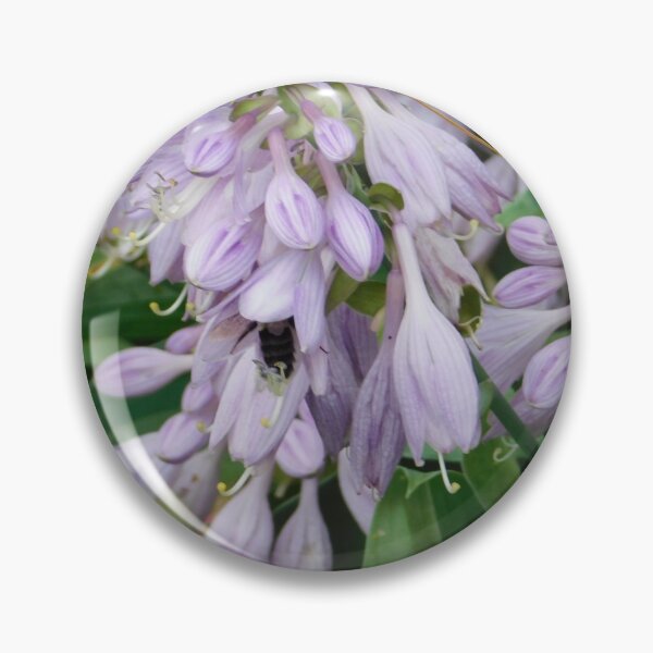 Item preview, Busy Bombus designed and sold by Izayo-Darke1.