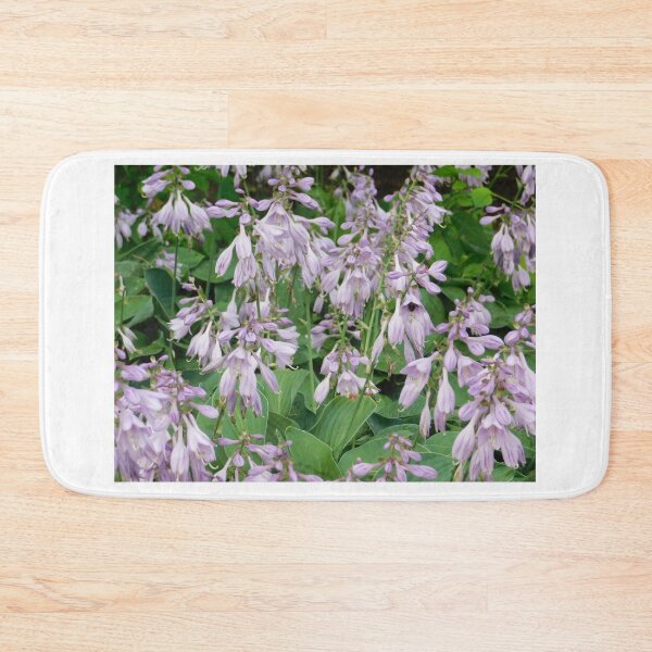 Item preview, Spot the Bees! designed and sold by Izayo-Darke1.