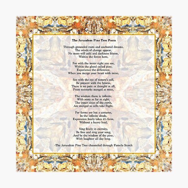 Item preview, The Jerusalem Pine Tree Poem designed and sold by Pamela Storch.