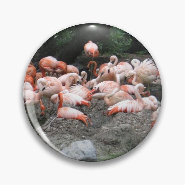 Item preview, Flamencos # 2 designed and sold by StudioHusted.
