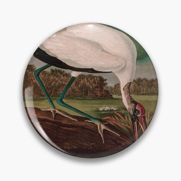 Item preview, Birds of America Audubon Wood Ibis Illustration Bird Lovers Gift designed and sold by VintageArchive.