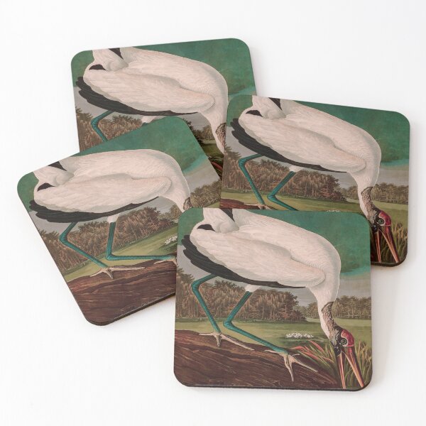 Item preview, Birds of America Audubon Wood Ibis Illustration Bird Lovers Gift designed and sold by VintageArchive.