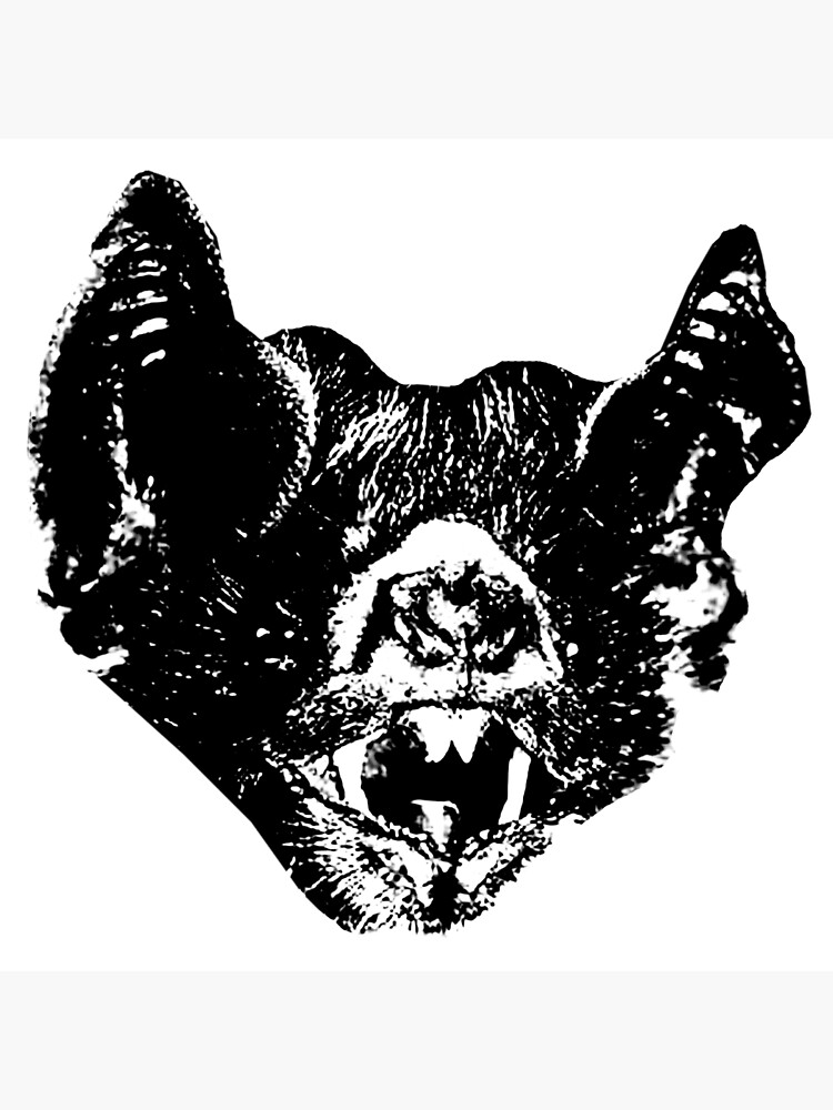 "Bat Face" Poster by 4931870 Redbubble