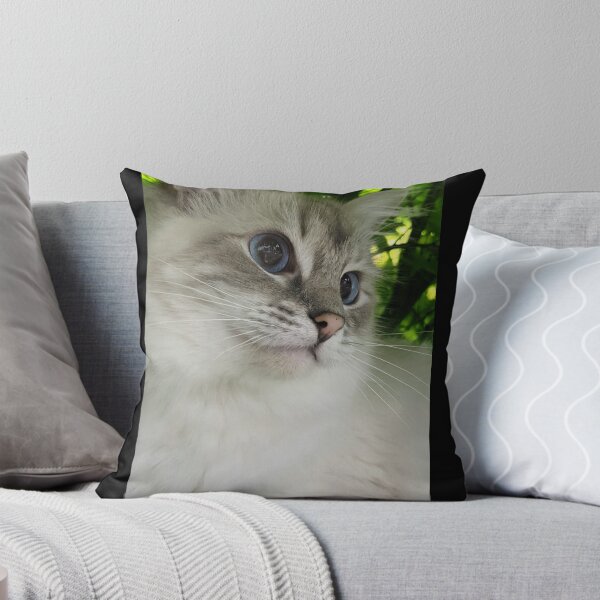 Item preview, Saoirse the ragdoll cat designed and sold by Fluffycat2020.