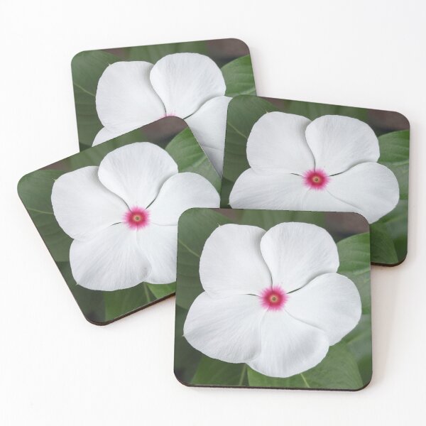 Item preview, White Vinca with its beautiful pink center. designed and sold by memorguson.