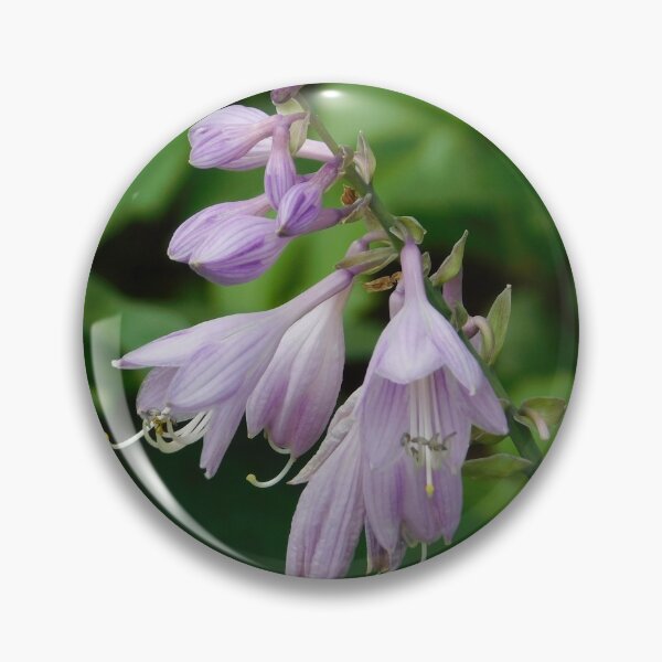 Item preview, When in Bloom designed and sold by Izayo-Darke1.