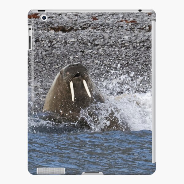 Splash ! Coque rigide iPad