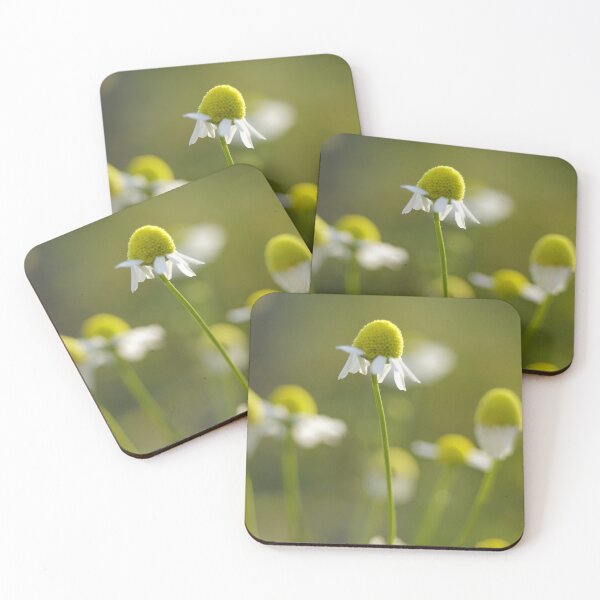 Item preview, German Chamomile designed and sold by cfinntastic.