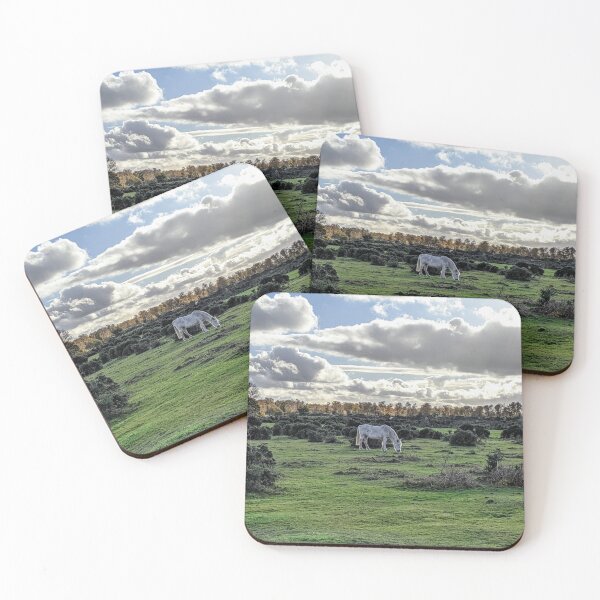 Item preview, Pony on Ibsley Common designed and sold by SamWPhotography.