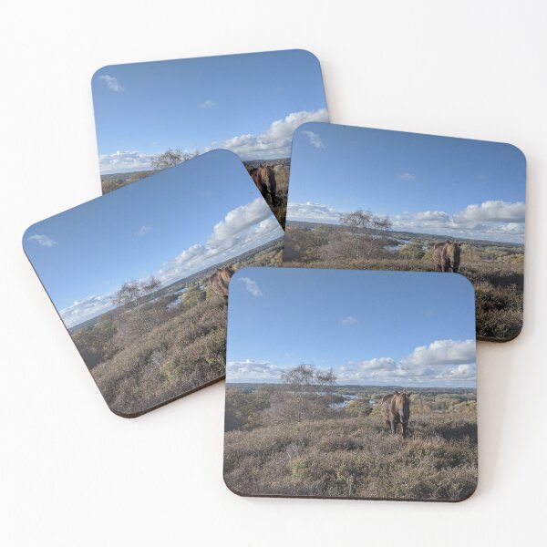 Item preview, Pony on Ibsley Common designed and sold by SamWPhotography.