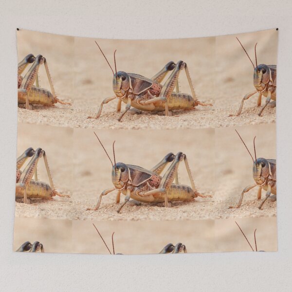Item preview, Grasshopper on Display designed and sold by WorldDesign.