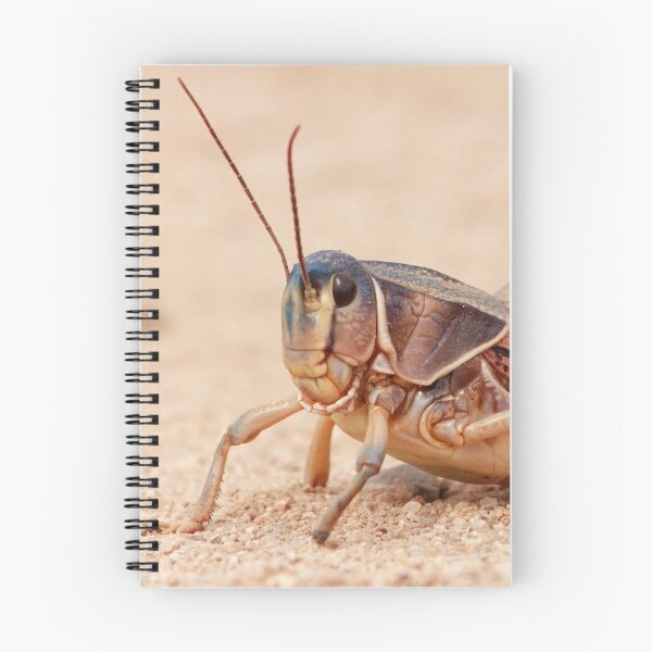 Item preview, Grasshopper on Display designed and sold by WorldDesign.