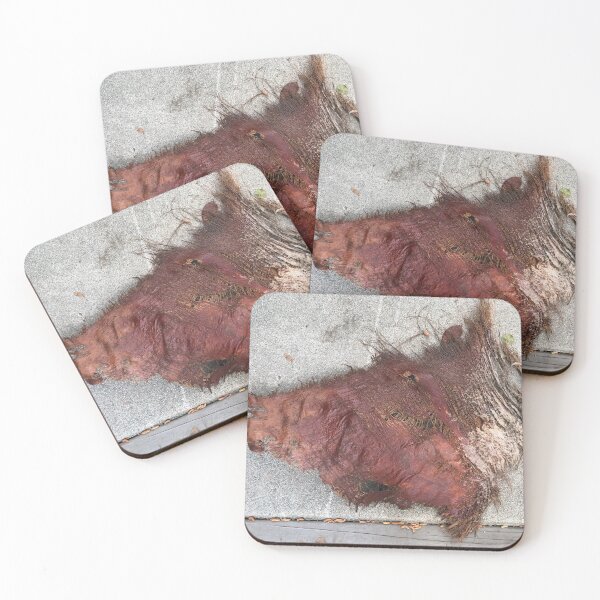 Item preview, boar head palm bark designed and sold by MariannaPhotos.