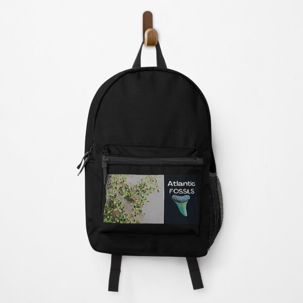 Item preview, Beach Plants and Shark Teeth designed and sold by AtlanticFossils.