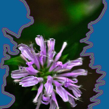 Artwork thumbnail, Bee Balm or Be Square by michaelasamples