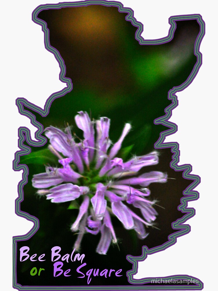 Thumbnail 3 of 3, Sticker, Bee Balm or Be Square designed and sold by michaelasamples.