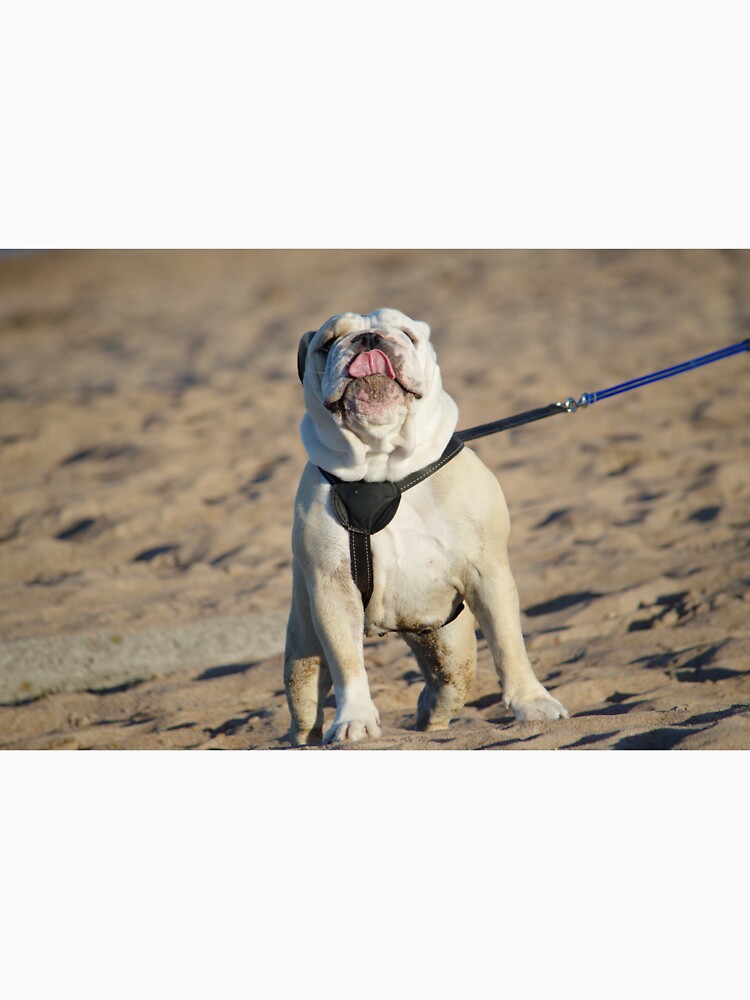 "Rude Dog" Tshirt by adrianwale Redbubble